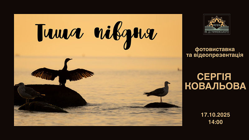 Ви зараз переглядаєте Тиша півдня